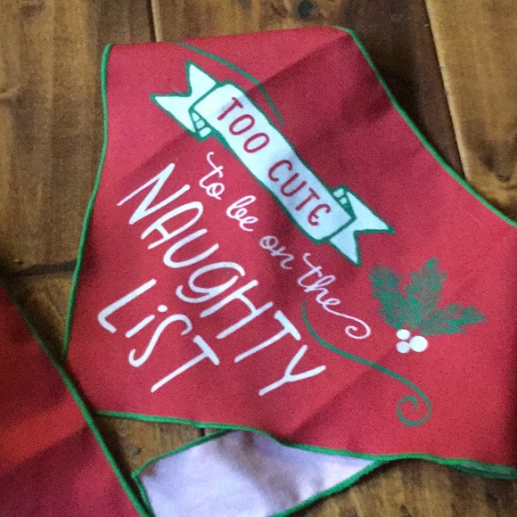 Dog bandanas holiday puppy lodge Christmas photo pet portraits - Picture 3 of 4